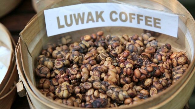 Рейтинг кофе в зернах 2021 года: лучший вкусный, ароматный зерновой кофе для турки на российском рынке по отзывам кофеманов