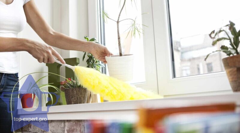 10 простых способов уменьшить появление пыли в доме