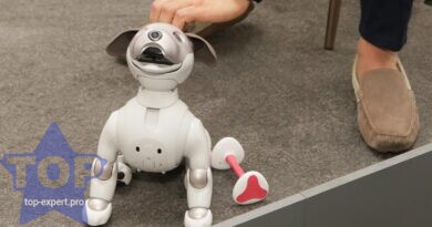 Обзор лучших игрушек роботов-собак