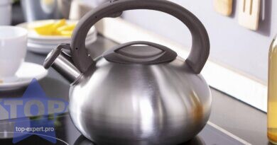 Лучшие чайники для индукционной плиты: какой купить, плюсы и минусы