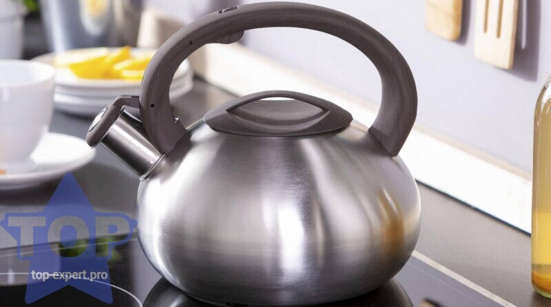 Лучшие чайники для индукционной плиты: какой купить, плюсы и минусы