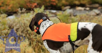 Лучшие ошейники для собак с GPS-трекером для охоты
